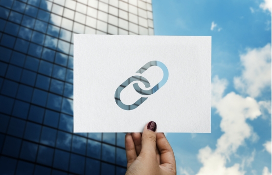 Link Building